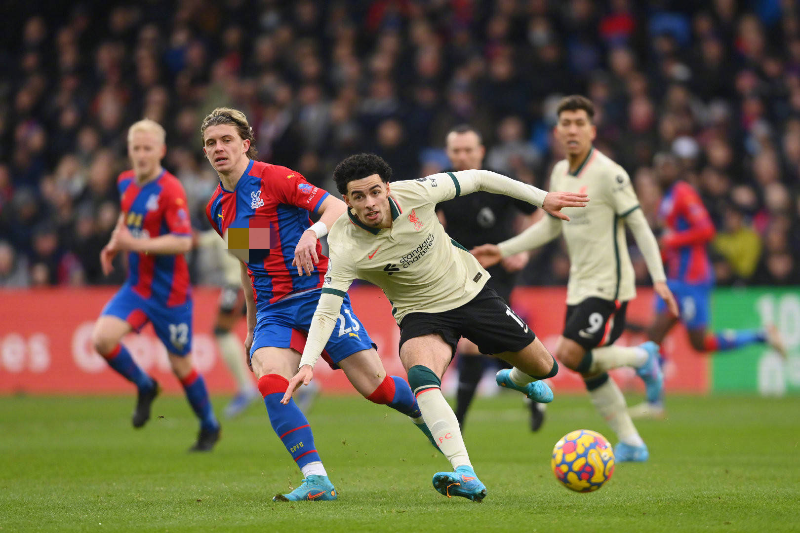 体的协同 体的协同